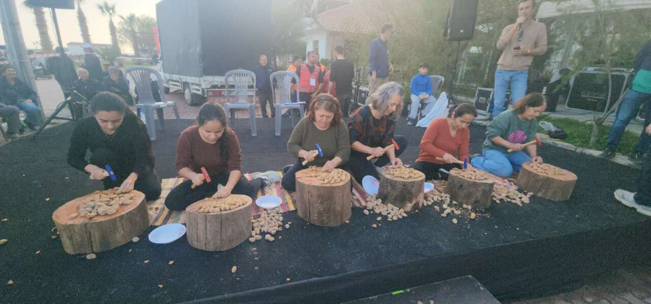 Datça’da “Altın” Ödüllü “ Badem Kırma Yarışması 2